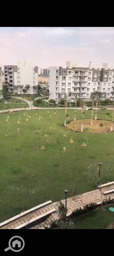 3 Bedroom Apartment for Rent in Madinaty, Cairo - 1000726615. jpg