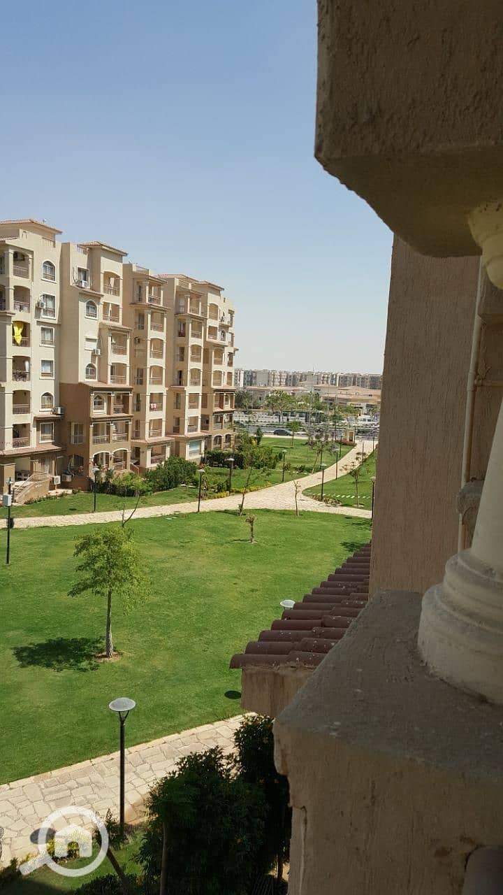 6 1000726740. jpg
