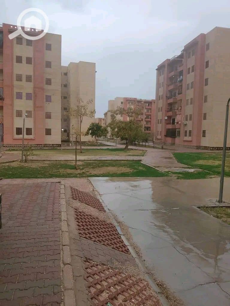 5 1000079770. jpg