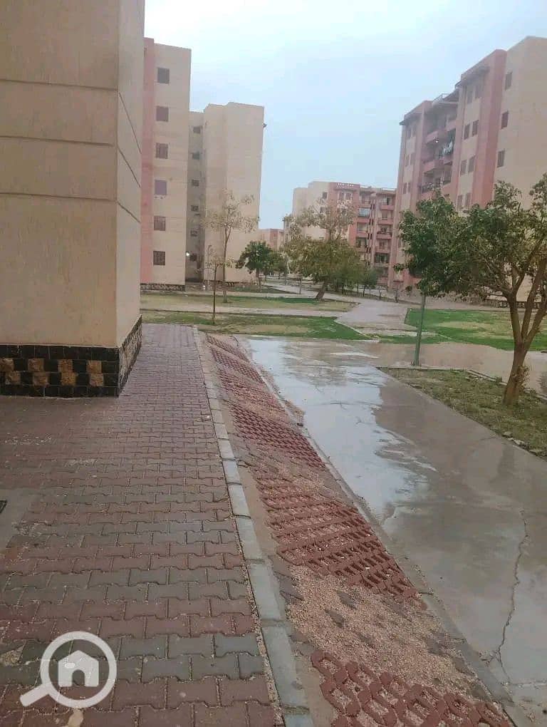 6 1000079769. jpg
