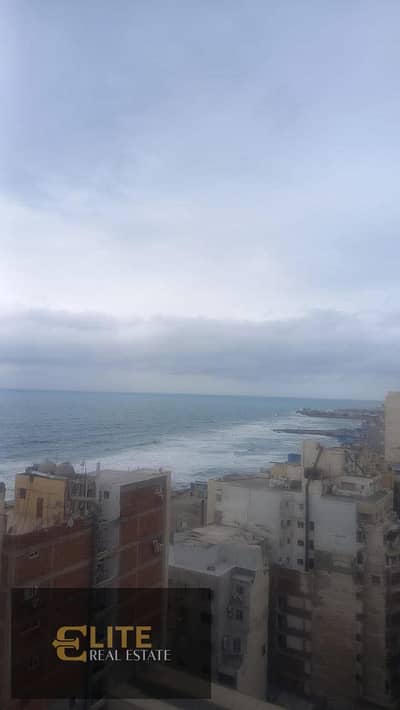 2 Bedroom Apartment for Sale in Sporting, Alexandria - WhatsApp Image 2026-10-13 at 2.25. 09 PM. jpeg 2 Bedroom Apartment for Sale in Sporting, Alexandria - WhatsApp Image 2026-10-13 at 2.25. 09 PM. jpeg