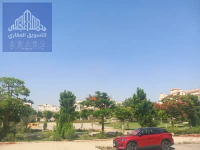 3 Bedroom Flat for Sale in New Cairo, Cairo - 118357. jpg 3 Bedroom Flat for Sale in New Cairo, Cairo - 118357. jpg