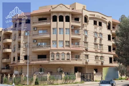 3 Bedroom Flat for Sale in New Cairo, Cairo - 119379. jpg 3 Bedroom Flat for Sale in New Cairo, Cairo - 119379. jpg