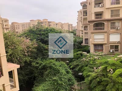 2 Bedroom Flat for Rent in Madinaty, Cairo - 69d34092-743d-4bdf-a949-4a4f. jpg 2 Bedroom Flat for Rent in Madinaty, Cairo - 69d34092-743d-4bdf-a949-4a4f. jpg