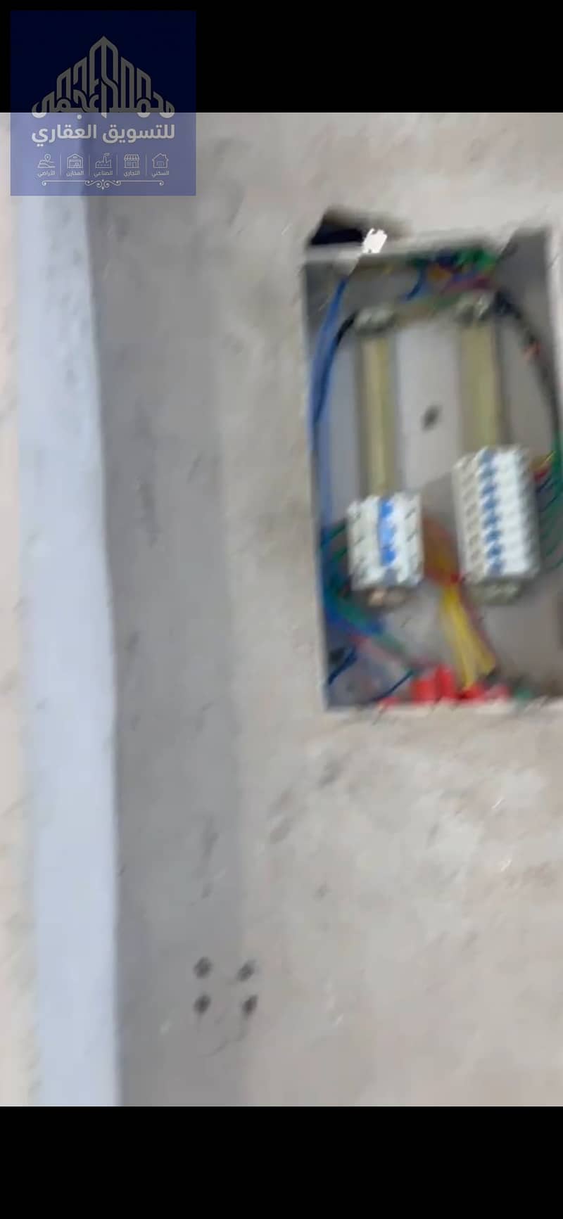 28 86481. jpg