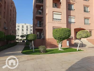 2 Bedroom Flat for Rent in New Cairo, Cairo - WhatsApp Image 2026-10-13 at 2.55. 16 PM. jpeg 2 Bedroom Flat for Rent in New Cairo, Cairo - WhatsApp Image 2026-10-13 at 2.55. 16 PM. jpeg