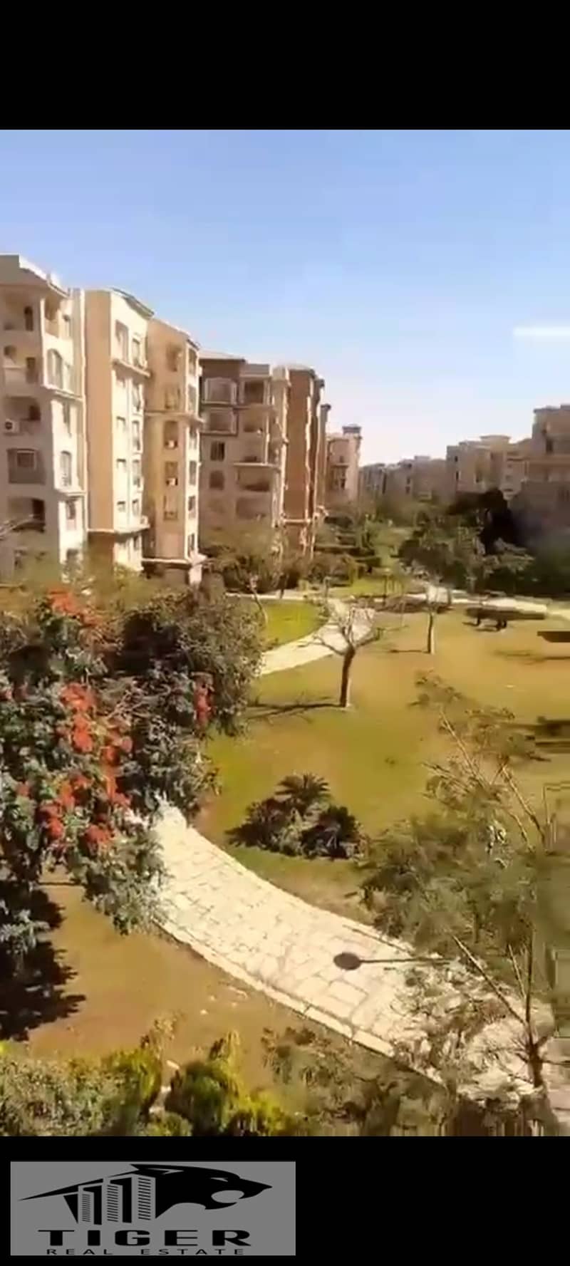 5 1000961949. jpg