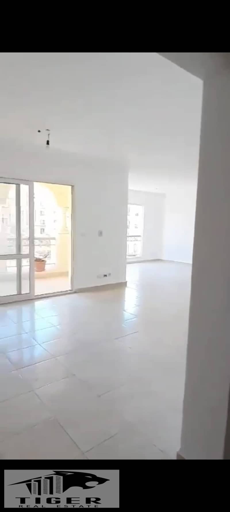 8 1000961946. jpg