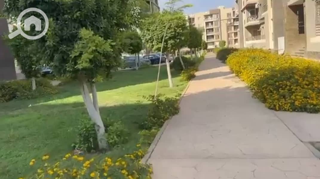 6 1001196723. jpg