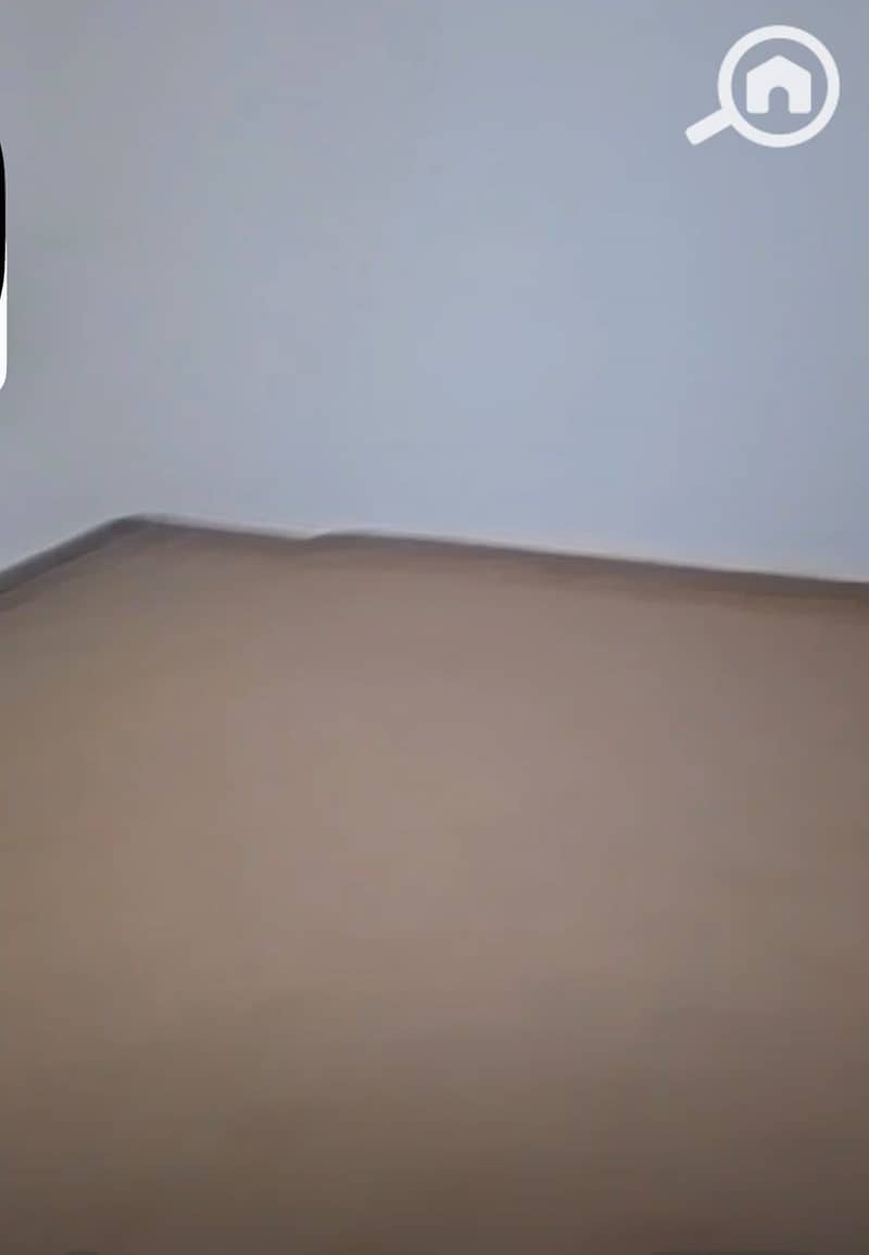 10 1001196462. jpg