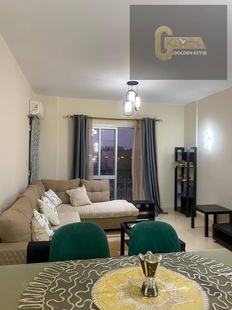 2 1002149784. jpg