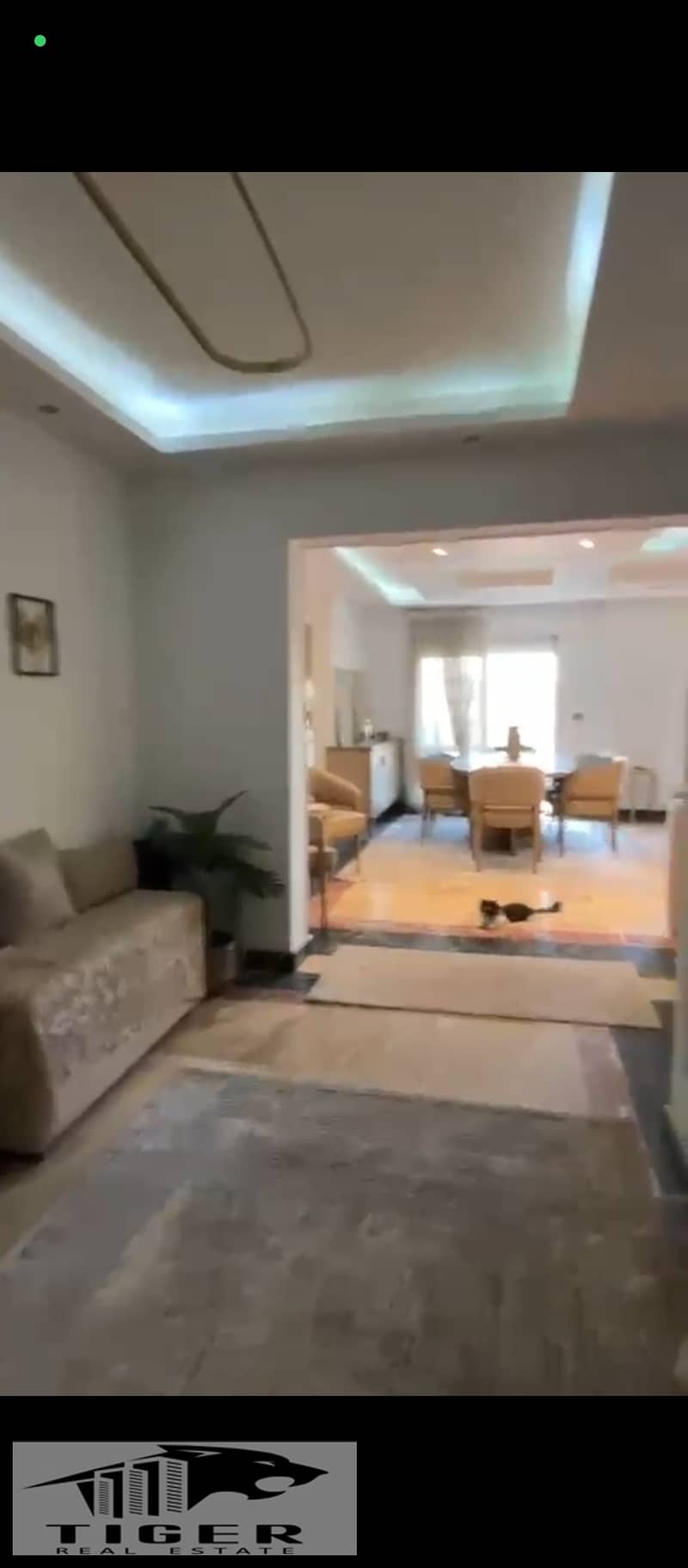 2 1003404801. jpg