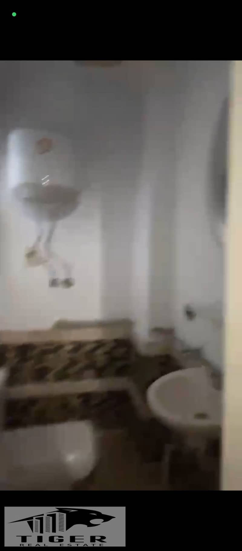 8 1003404811. jpg