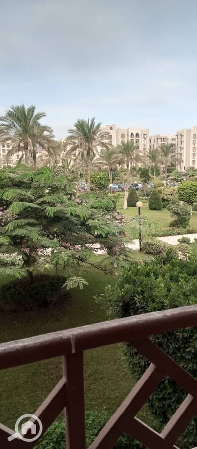 2 Bedroom Apartment for Rent in New Cairo, Cairo - WhatsApp Image 2026-10-13 at 6.59. 54 PM (1). jpeg 2 Bedroom Apartment for Rent in New Cairo, Cairo - WhatsApp Image 2026-10-13 at 6.59. 54 PM (1). jpeg