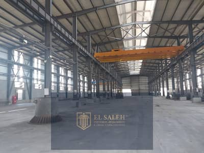 Factory for Rent in 10th of Ramadan, Sharqia - WhatsApp Image 2025-11-13 at 4.37. 09 PM(4). jpeg