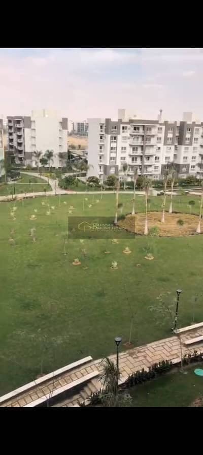 3 Bedroom Flat for Rent in Madinaty, Cairo - e882a5bc-a721-4520-b689-31b364813693. jpeg