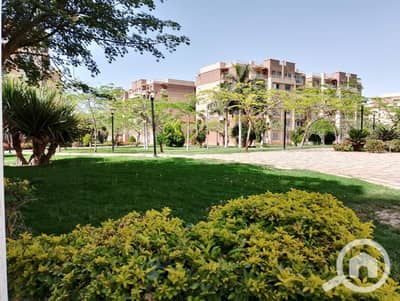 3 Bedroom Apartment for Sale in Madinaty, Cairo - 1000159142. jpg