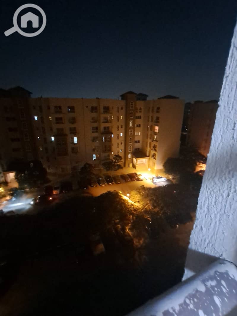 4 80988. jpg