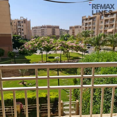 2 Bedroom Flat for Rent in Madinaty, Cairo - 1000988643. jpg 2 Bedroom Flat for Rent in Madinaty, Cairo - 1000988643. jpg