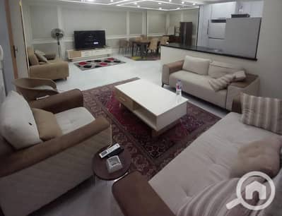 3 Bedroom Hotel Apartment for Rent in Al Manial, Cairo - 123140. jpg 3 Bedroom Hotel Apartment for Rent in Al Manial, Cairo - 123140. jpg