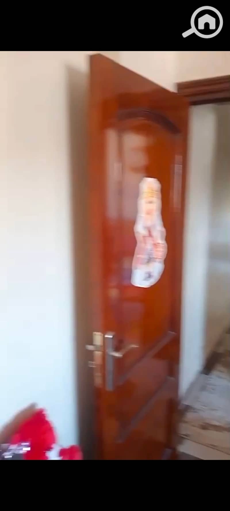 2 137648. jpg