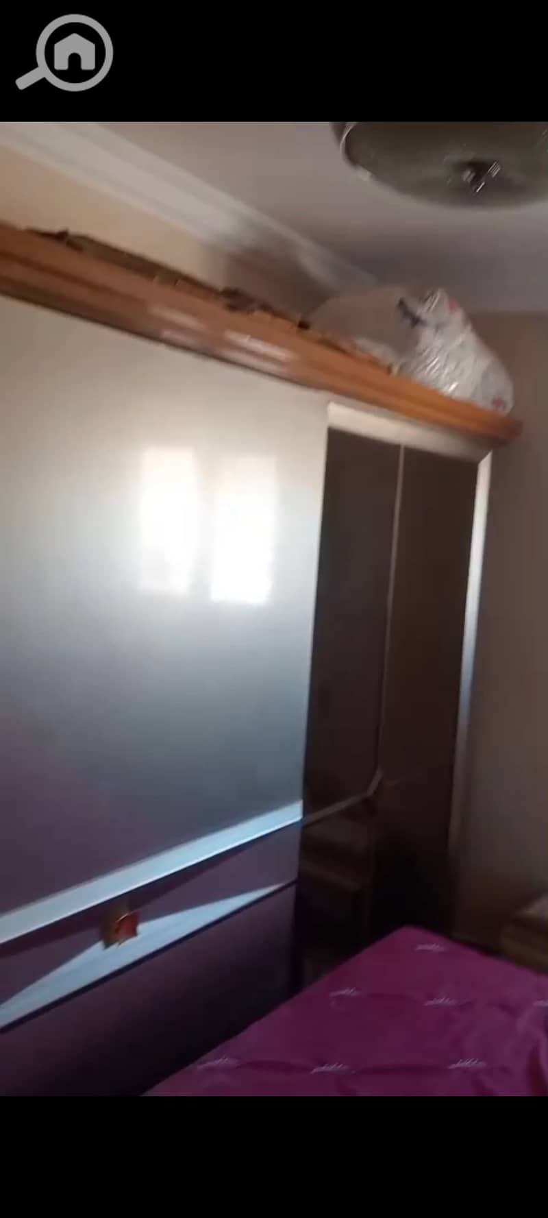 3 137647. jpg