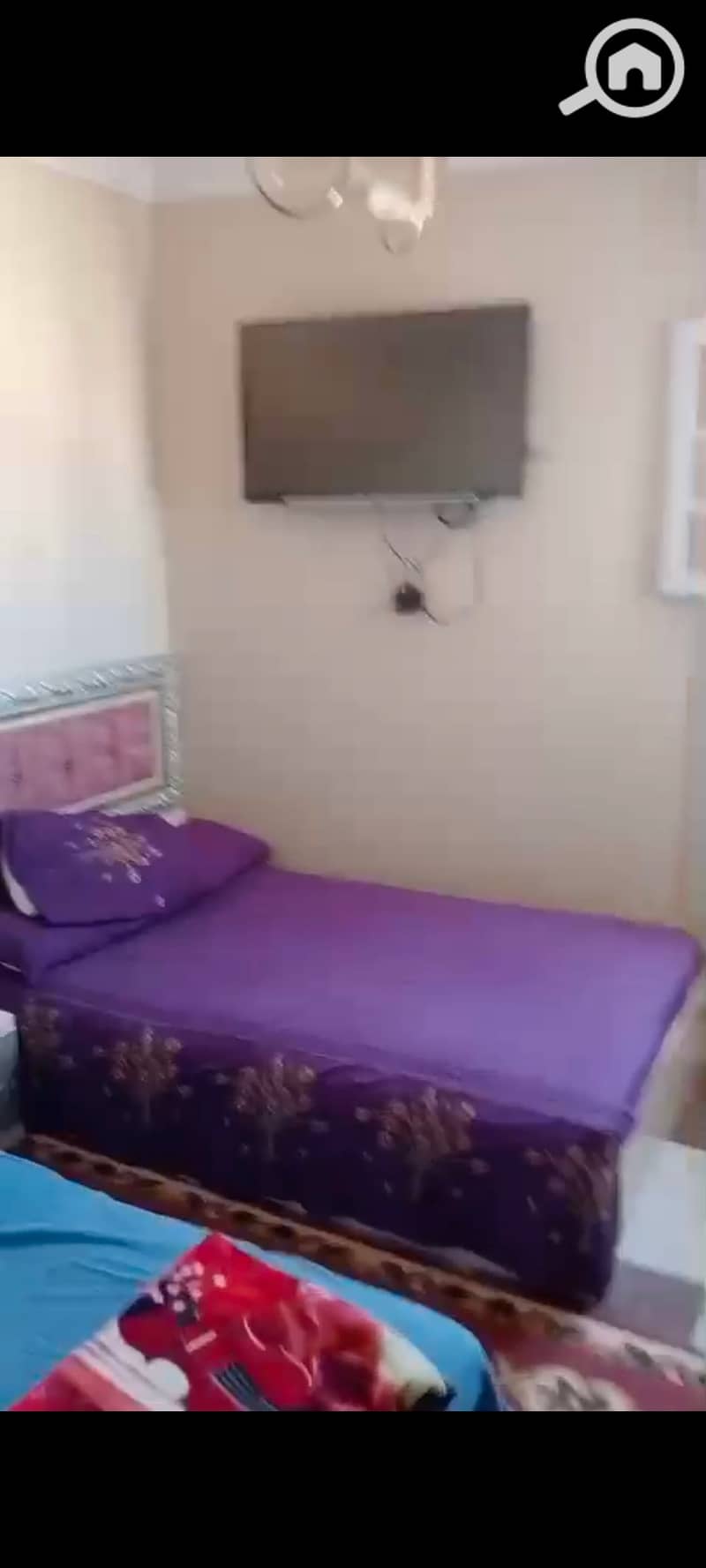 12 137640. jpg