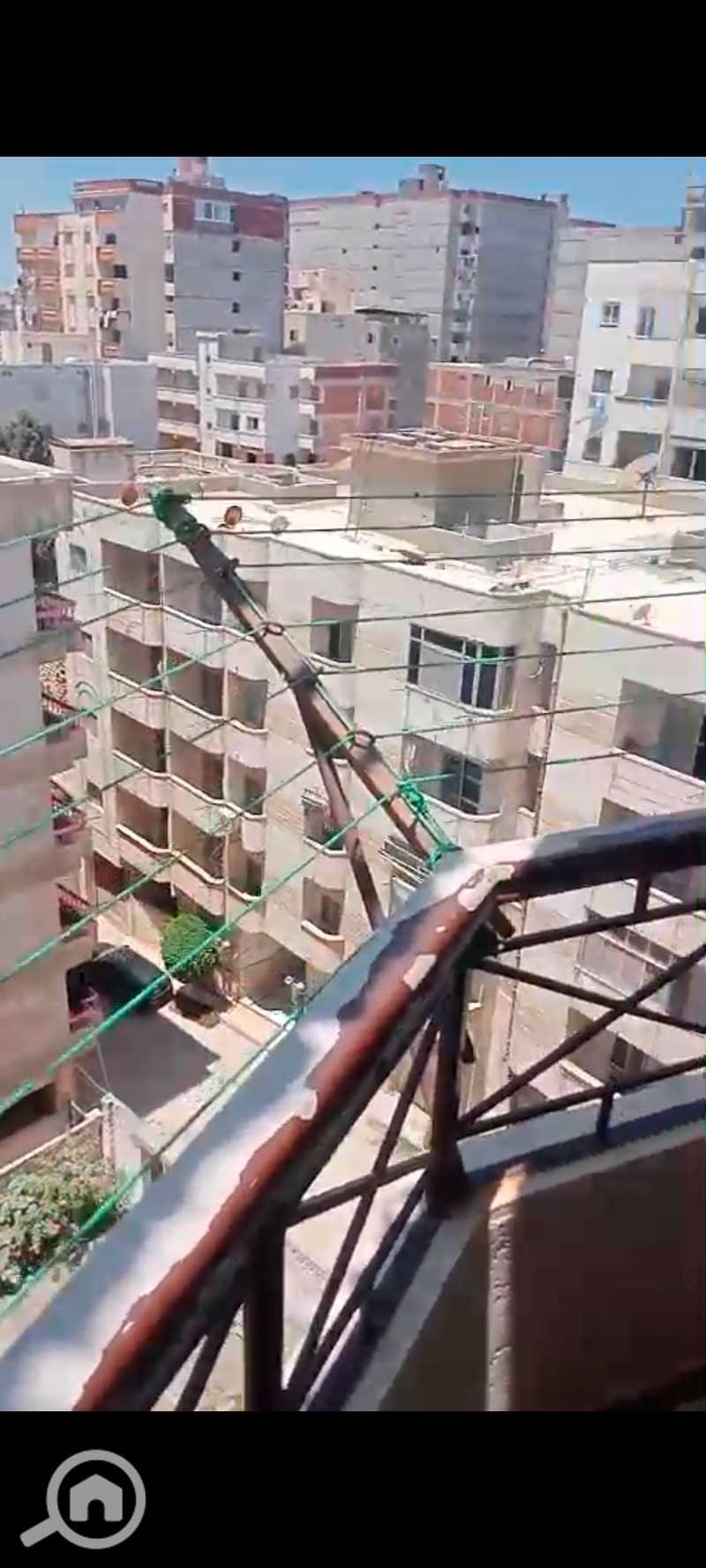 24 137628. jpg