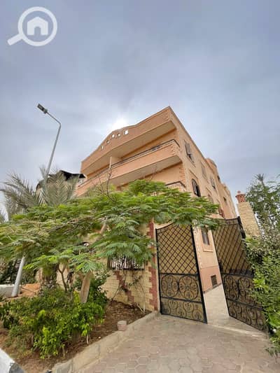 3 Bedroom Apartment for Rent in Shorouk City, Cairo - 1000363675. jpg 3 Bedroom Apartment for Rent in Shorouk City, Cairo - 1000363675. jpg