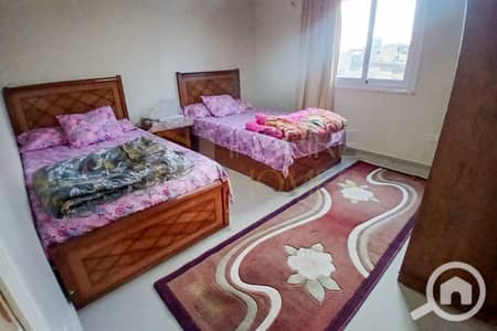 شقة 2 غرفة نوم للايجار في المعمورة، الإسكندرية - 8945. jpg شقة 2 غرفة نوم للايجار في المعمورة، الإسكندرية - 8945. jpg