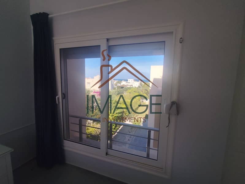 4 164751. jpg