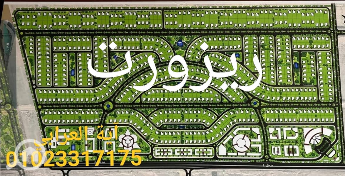 5 92431. jpg