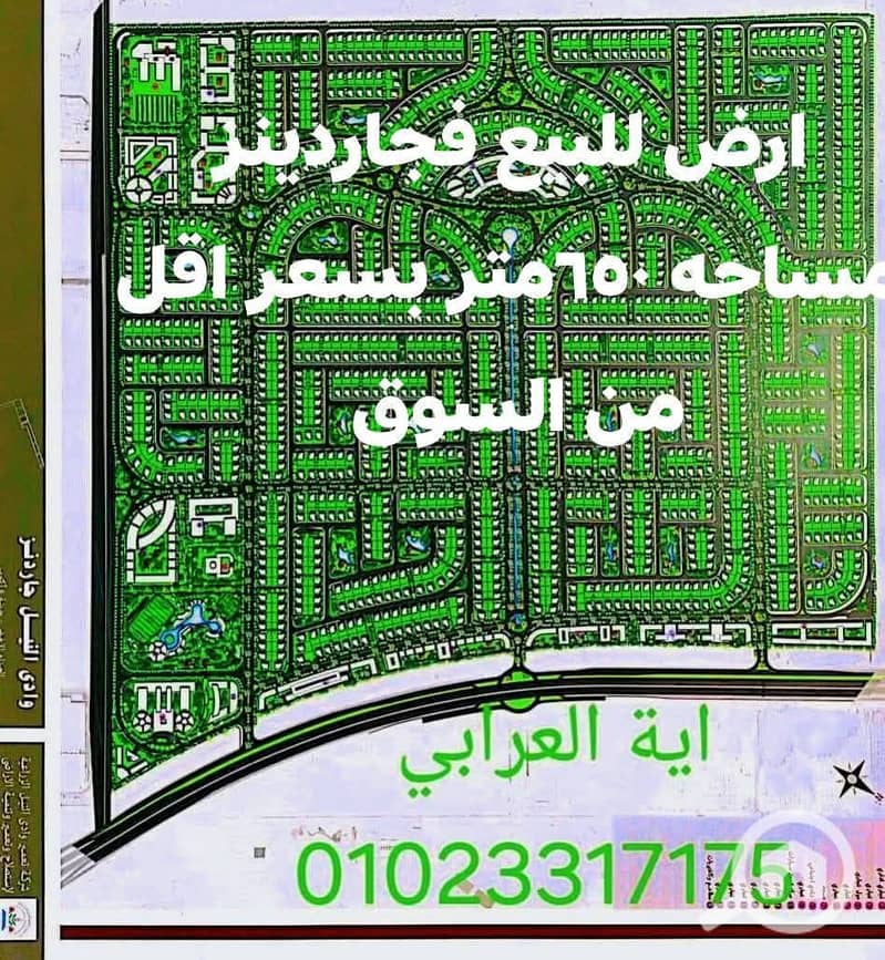 11 4559. jpg