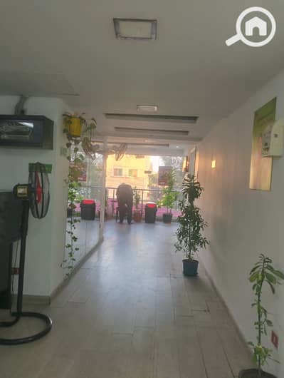 Office for Rent in Heliopolis, Cairo - 49275. jpg
