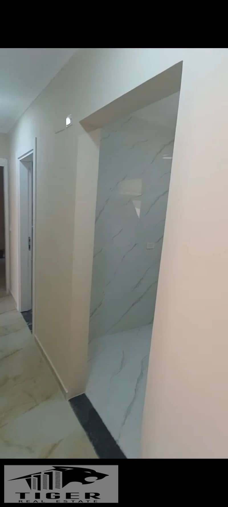 4 836305. jpg