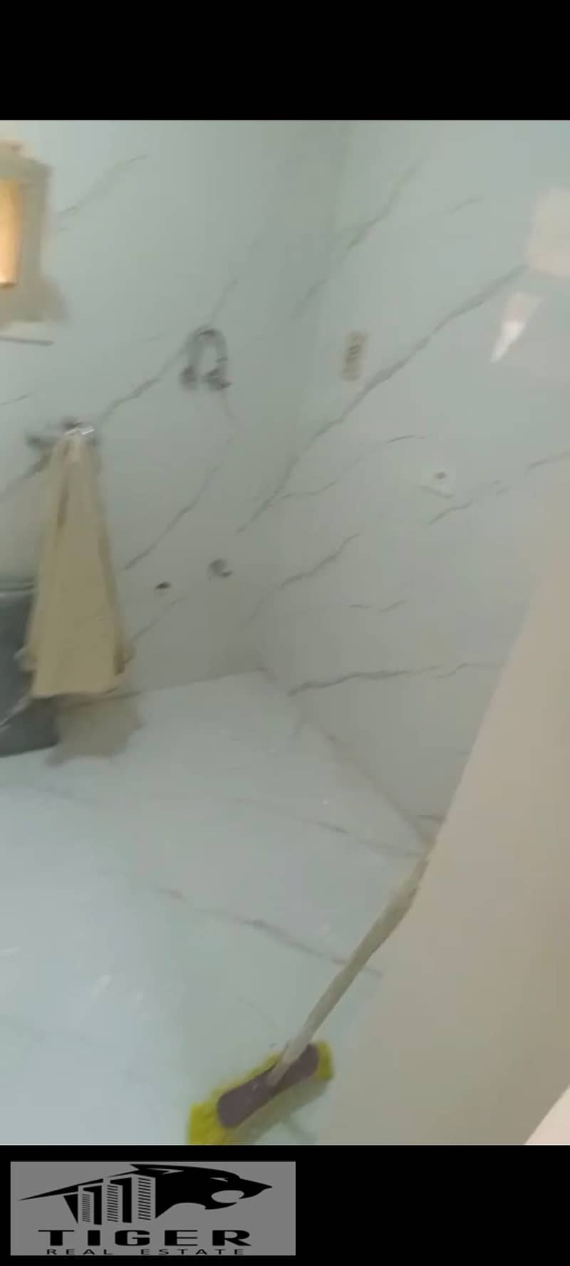 5 836306. jpg