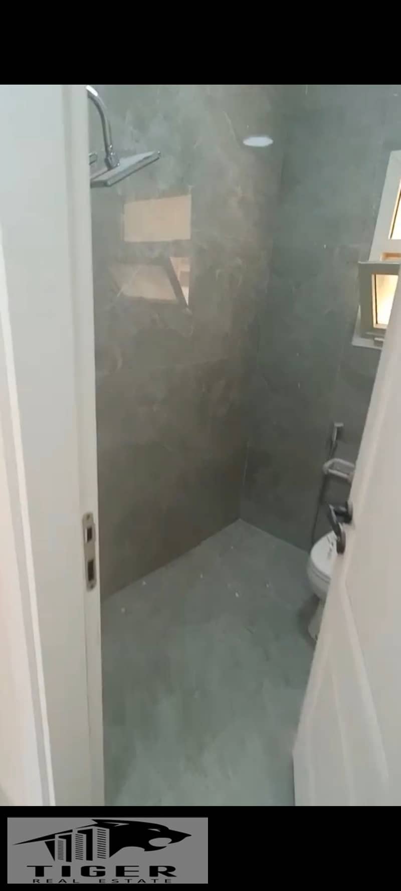6 836307. jpg