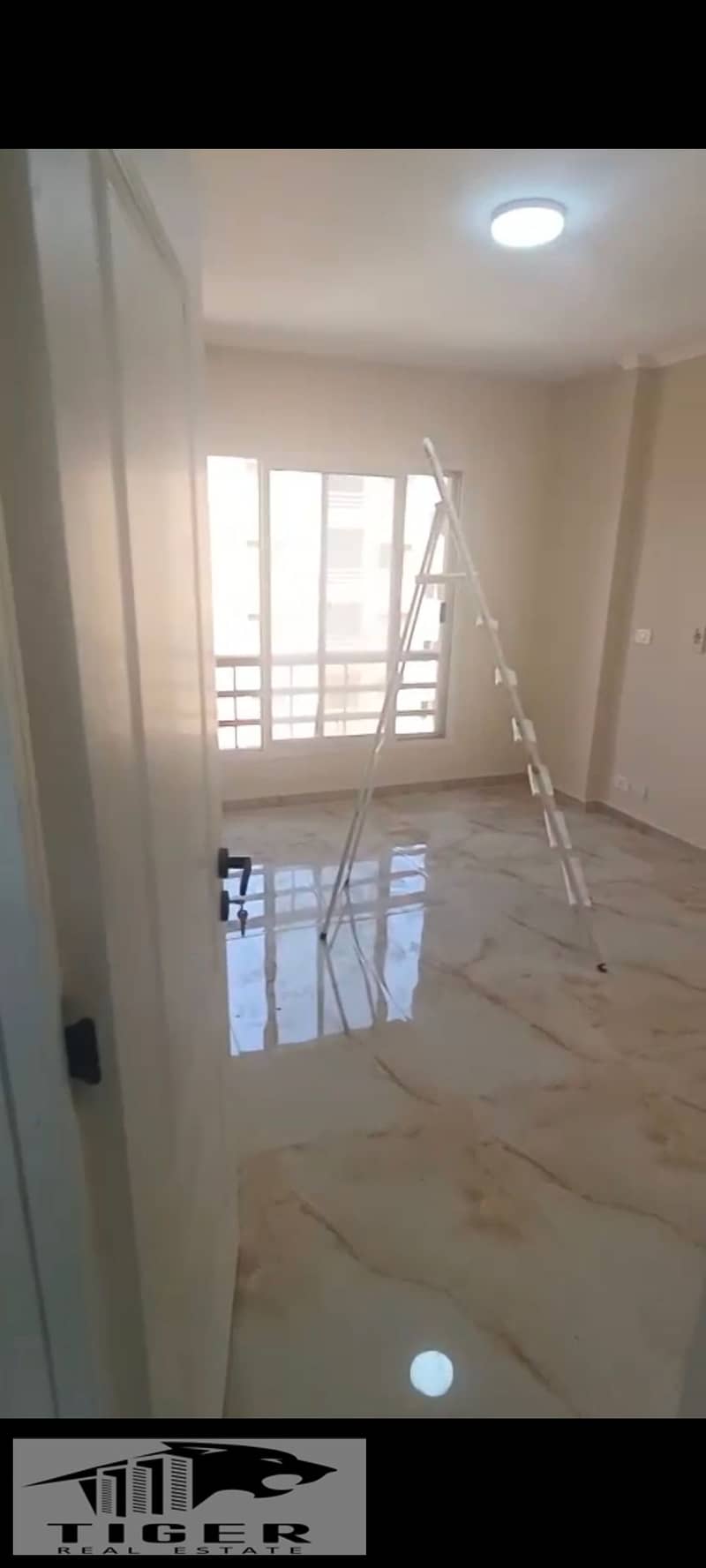 8 836309. jpg