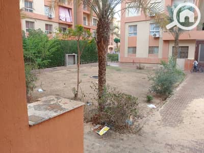 شقة 1 غرفة نوم للبيع في 6 اكتوبر، الجيزة - 242017. jpg شقة 1 غرفة نوم للبيع في 6 اكتوبر، الجيزة - 242017. jpg