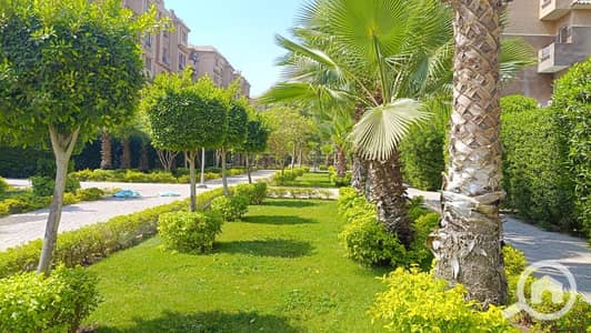 دوبلكس 3 غرف نوم للبيع في حدائق اكتوبر، الجيزة - WhatsApp-Image-2026-01-19-at-10.25. 39-AM-(2). jpeg
