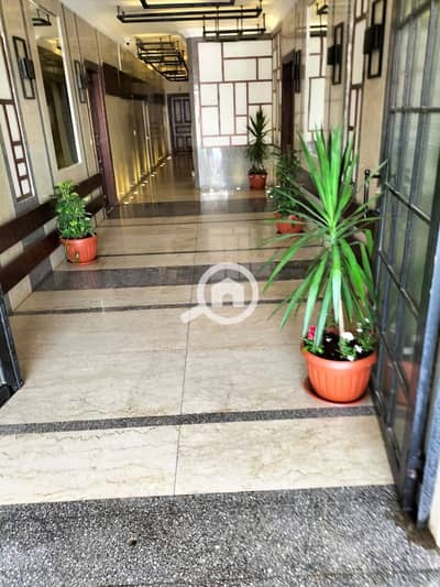 3 Bedroom Apartment for Rent in New Cairo, Cairo - 1000000431. jpg 3 Bedroom Apartment for Rent in New Cairo, Cairo - 1000000431. jpg