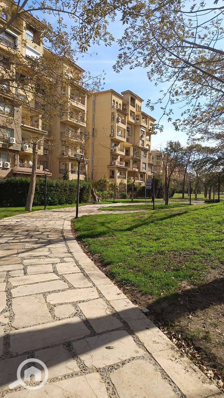 2 60575. jpg