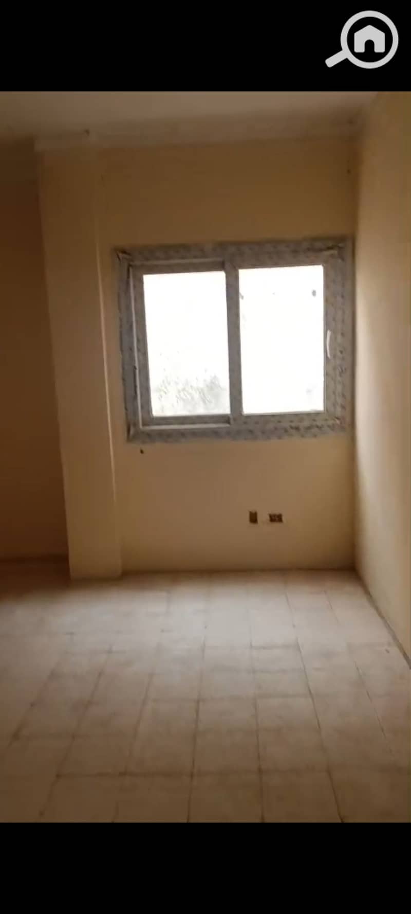 5 1001404564. jpg