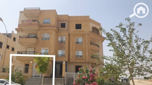 5 Bedroom Villa for Sale in 6th of October, Giza - WhatsApp Image 2026-05-16 at 6.35. 48 PM. jpeg 5 Bedroom Villa for Sale in 6th of October, Giza - WhatsApp Image 2026-05-16 at 6.35. 48 PM. jpeg