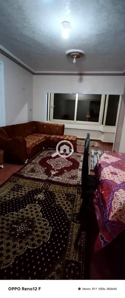 2 Bedroom Apartment for Rent in Maadi, Cairo - 1000067056. jpg 2 Bedroom Apartment for Rent in Maadi, Cairo - 1000067056. jpg