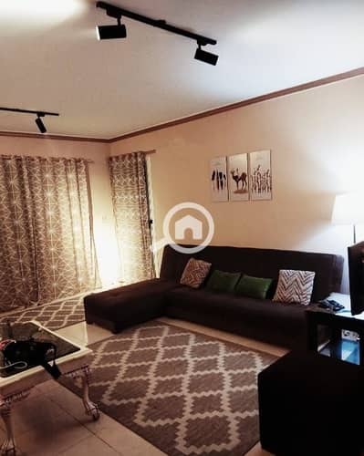 2 Bedroom Apartment for Rent in Madinaty, Cairo - WhatsApp Image 2026-10-14 at 1.50. 02 PM (1). jpeg