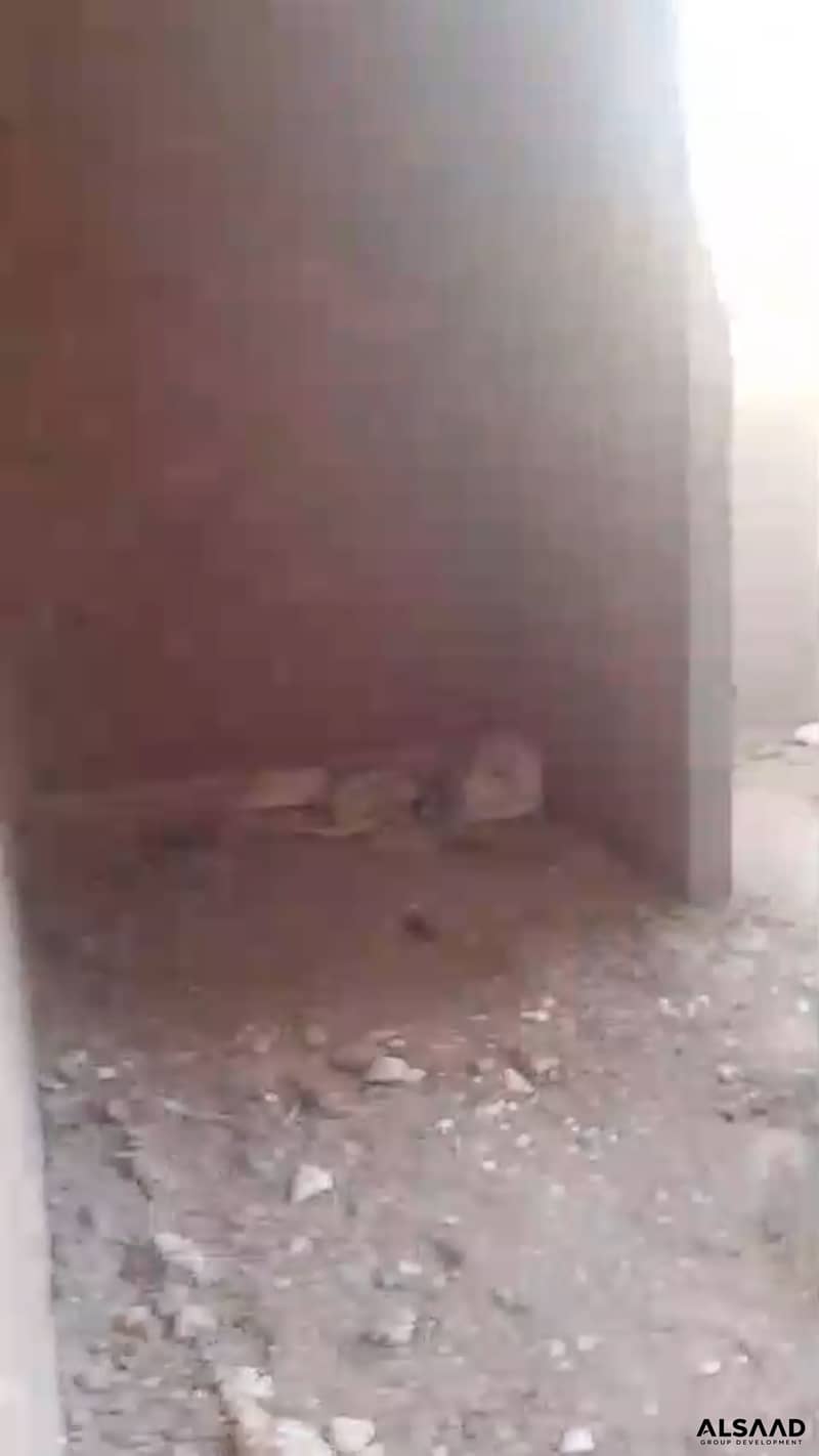 12 1014 (1)(11). png