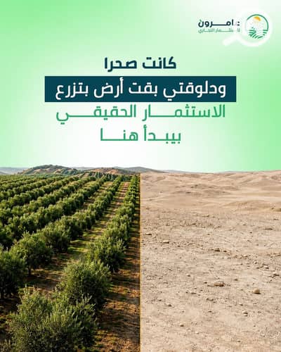 Agricultural Land for Sale in Siwa, Matruh - WhatsApp Image 2026-10-07 at 1.00. 10 AM. jpeg