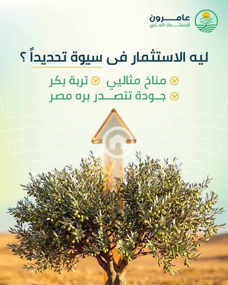 9 WhatsApp Image 2026-10-07 at 1.00. 10 1AM. jpeg