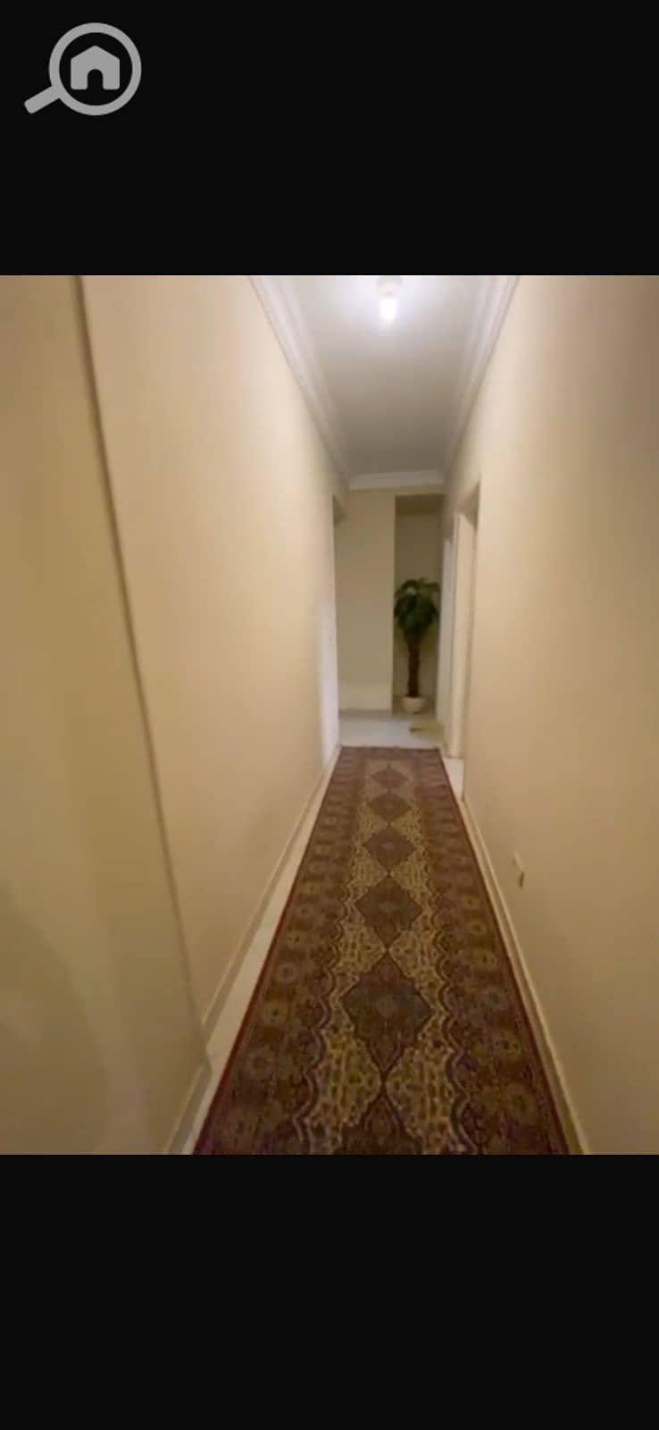 9 1000019555. jpg